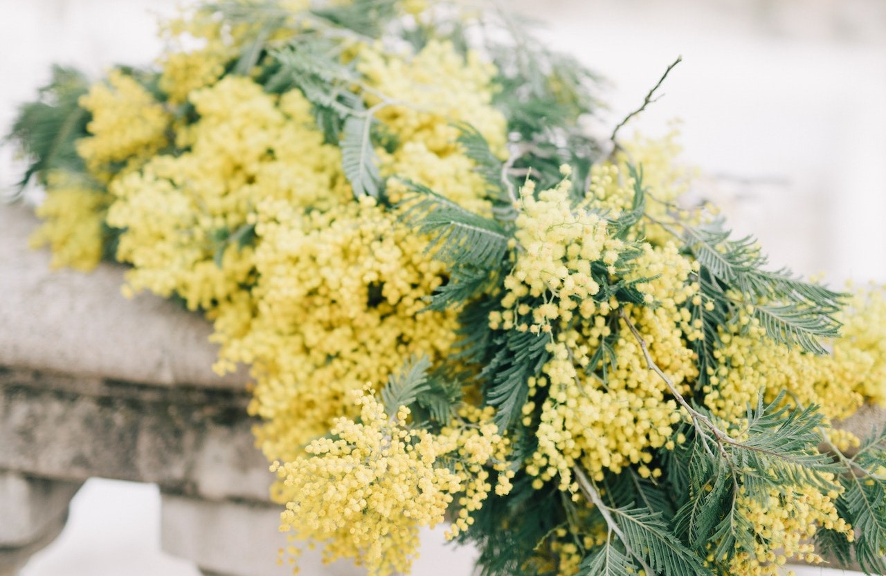 Le celebrazioni dell’8 Marzo al Quirinale