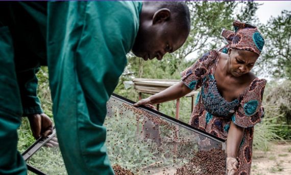 Agrifood: donne meno pagate e più precarie